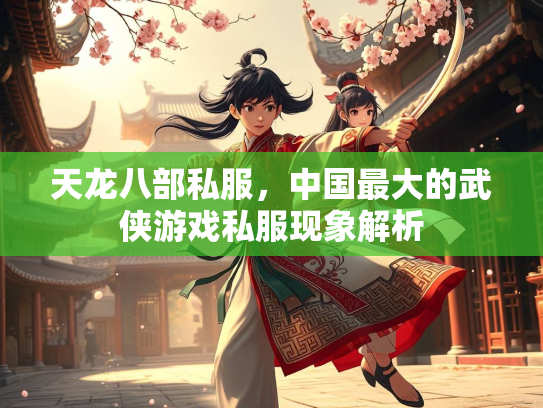 天龙八部私服，中国最大的武侠游戏私服现象解析  第3张