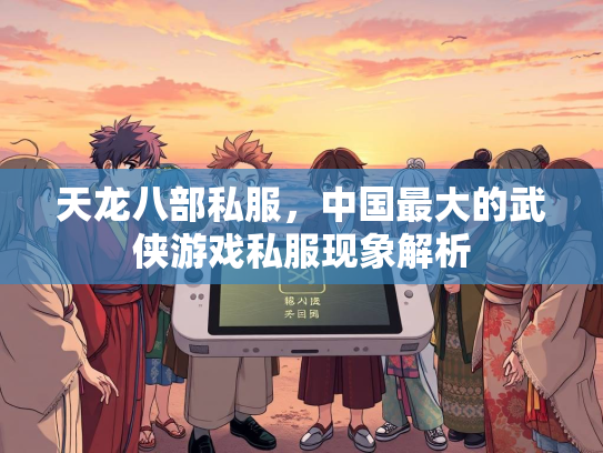 天龙八部私服，中国最大的武侠游戏私服现象解析  第1张