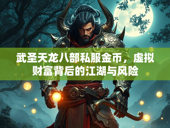 武圣天龙八部私服金币，虚拟财富背后的江湖与风险  第3张