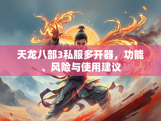 天龙八部3私服多开器，部私功能、服多风险风险与使用建议  第1张