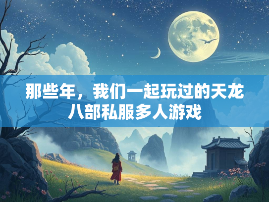 那些年，我们一起玩过的天龙八部私服多人游戏  第3张