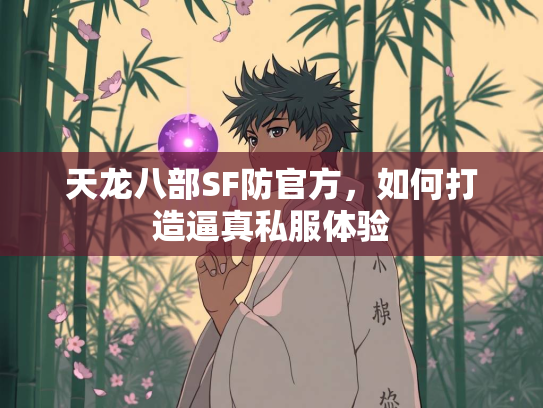 天龙八部SF防官方，如何打造逼真私服体验  第4张