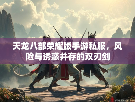 天龙八部荣耀版手游私服，风险与诱惑并存的双刃剑  第2张