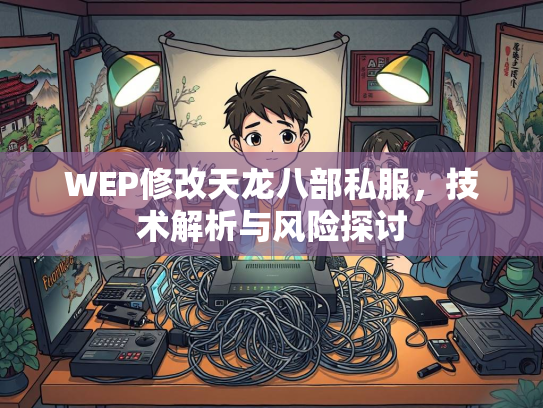 WEP修改天龙八部私服，技术解析与风险探讨  第3张