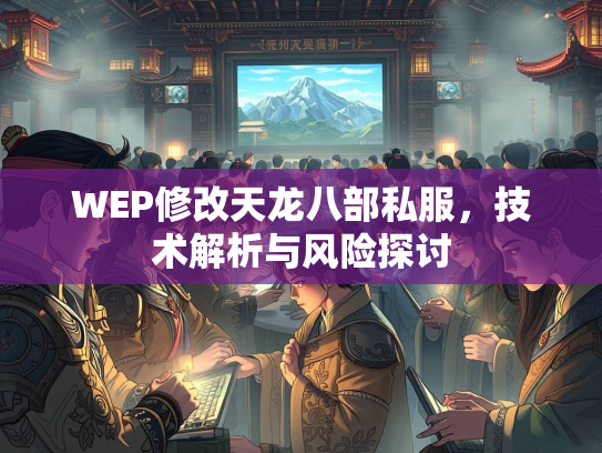 WEP修改天龙八部私服，技术解析与风险探讨  第4张