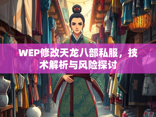 WEP修改天龙八部私服，技术解析与风险探讨