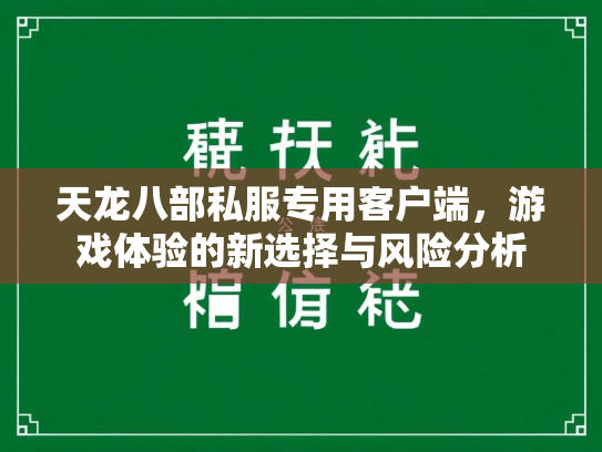 天龙八部私服专用客户端，游戏体验的新选择与风险分析  第4张