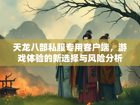 天龙八部私服专用客户端，游戏体验的新选择与风险分析  第1张