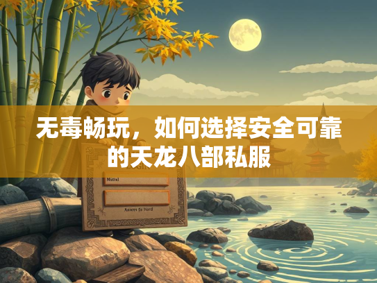 无毒畅玩，如何选择安全可靠的天龙八部私服  第3张