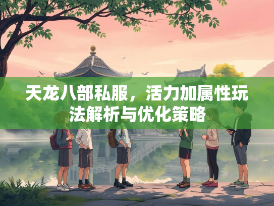 天龙八部私服，活力加属性玩法解析与优化策略  第2张