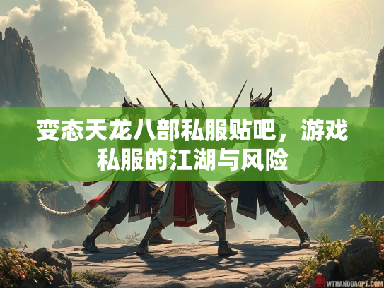 变态天龙八部私服贴吧，游戏私服的江湖与风险  第5张