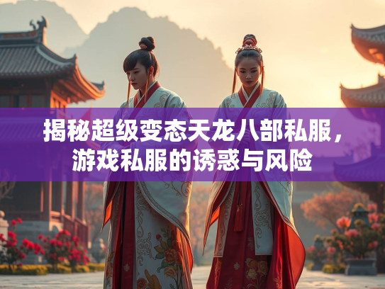 揭秘超级变态天龙八部私服，游戏私服的诱惑与风险  第3张