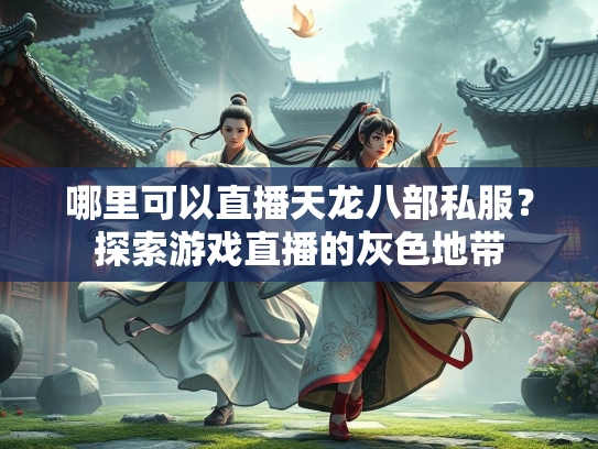 哪里可以直播天龙八部私服？探索游戏直播的灰色地带  第3张