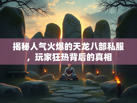 揭秘人气火爆的天龙八部私服，玩家狂热背后的真相  第3张