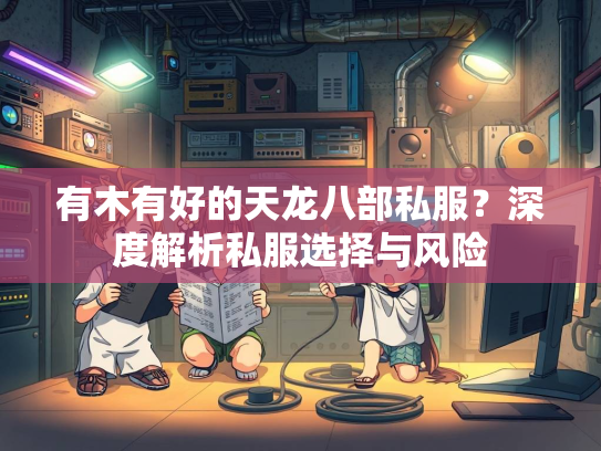 有木有好的天龙八部私服？深度解析私服选择与风险