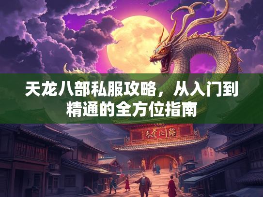 天龙八部私服攻略，从入门到精通的全方位指南  第4张