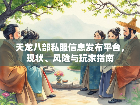 天龙八部私服信息发布平台，现状、风险与玩家指南