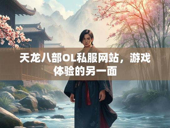 天龙八部OL私服网站，游戏体验的另一面  第3张
