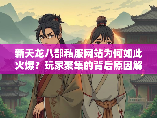 新天龙八部私服网站为何如此火爆？玩家聚集的背后原因解析  第3张