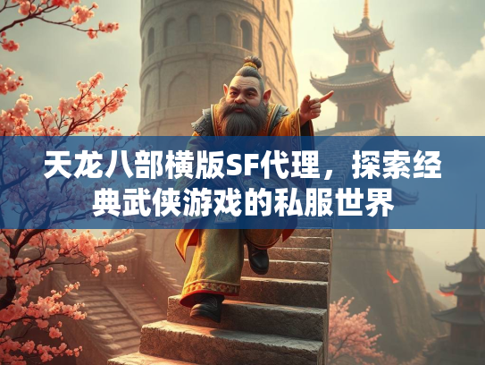 天龙八部横版SF代理，探索经典武侠游戏的私服世界  第5张