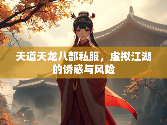 天道天龙八部私服，虚拟江湖的诱惑与风险  第4张