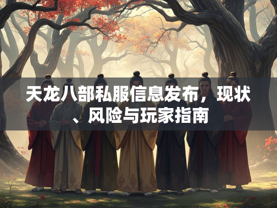 天龙八部私服信息发布，现状、风险与玩家指南  第2张