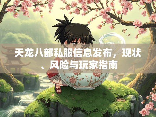 天龙八部私服信息发布，现状、风险与玩家指南