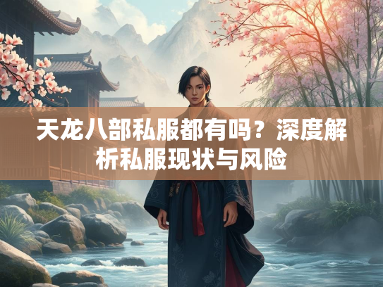 天龙八部私服都有吗？深度解析私服现状与风险  第2张