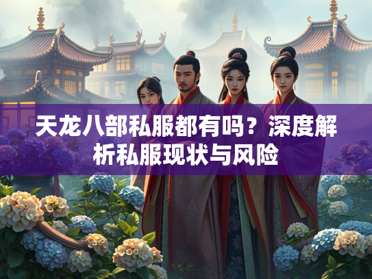 天龙八部私服都有吗？深度解析私服现状与风险  第3张