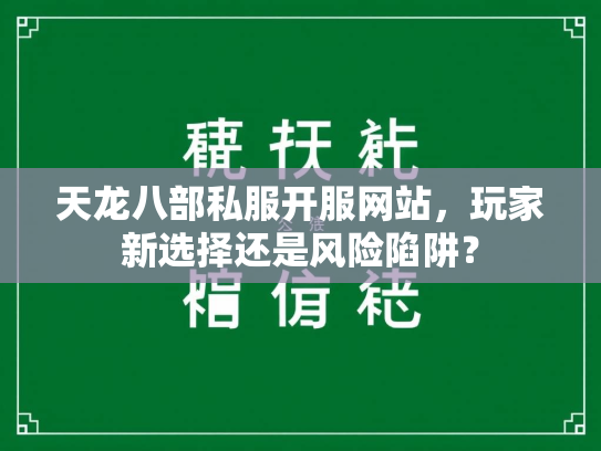 天龙八部私服开服网站，玩家新选择还是风险陷阱？