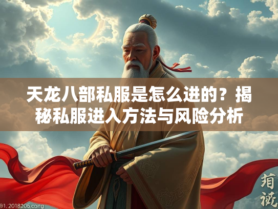 天龙八部私服是怎么进的？揭秘私服进入方法与风险分析  第2张