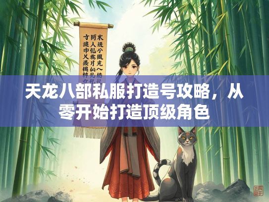 天龙八部私服打造号攻略，从零开始打造顶级角色  第2张