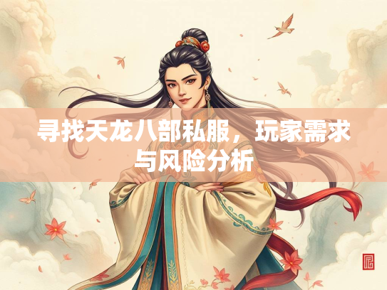 寻找天龙八部私服，玩家需求与风险分析  第2张