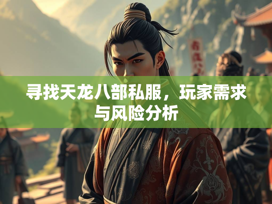 寻找天龙八部私服，玩家需求与风险分析