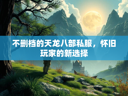 不删档的天龙八部私服，怀旧玩家的新选择  第3张