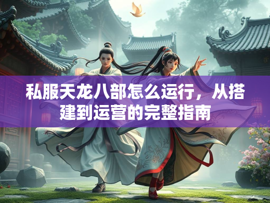 私服天龙八部怎么运行，从搭建到运营的完整指南  第2张