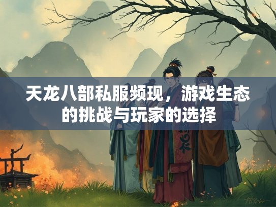 天龙八部私服频现，游戏生态的挑战与玩家的选择  第3张