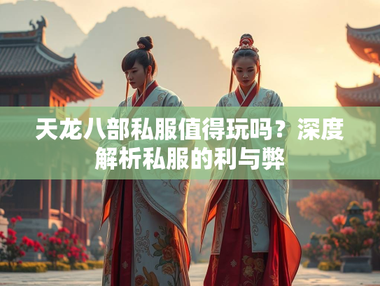 天龙八部私服值得玩吗？深度解析私服的利与弊  第3张