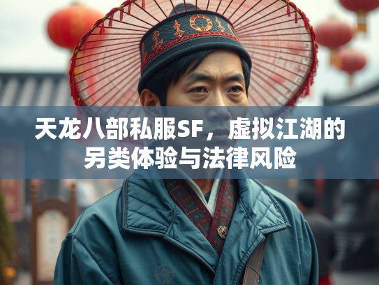 天龙八部私服SF，虚拟江湖的另类体验与法律风险  第2张