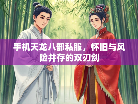 手机天龙八部私服，怀旧与风险并存的双刃剑  第2张