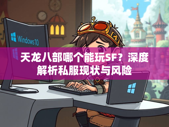 天龙八部哪个能玩SF？深度解析私服现状与风险  第3张