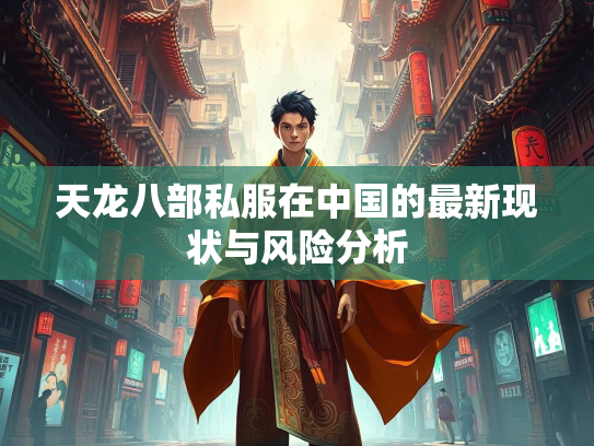 天龙八部私服在中国的最新现状与风险分析  第3张