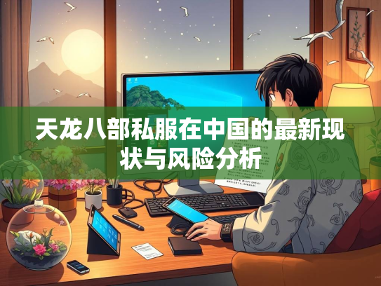 天龙八部私服在中国的最新现状与风险分析