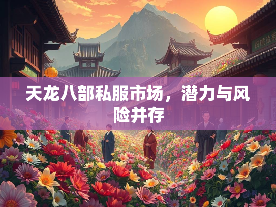 天龙八部私服市场，潜力与风险并存  第2张