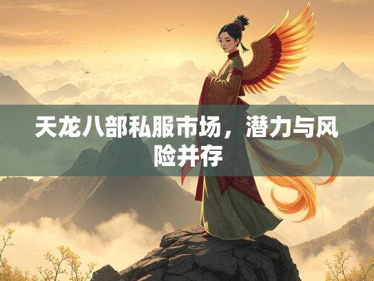 天龙八部私服市场，潜力与风险并存  第3张