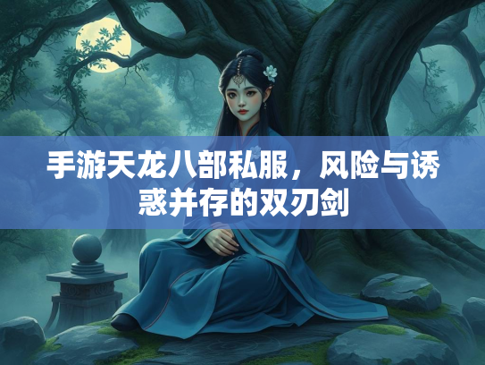 手游天龙八部私服，风险与诱惑并存的双刃剑  第2张