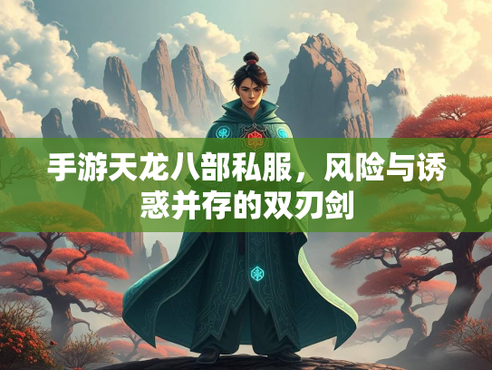 手游天龙八部私服，风险与诱惑并存的双刃剑  第3张