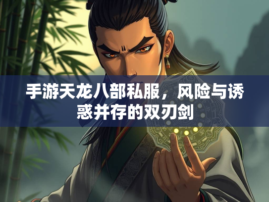 手游天龙八部私服，风险与诱惑并存的双刃剑