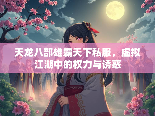 天龙八部雄霸天下私服，虚拟江湖中的权力与诱惑  第3张