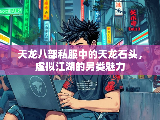 天龙八部私服中的天龙石头，虚拟江湖的另类魅力  第2张